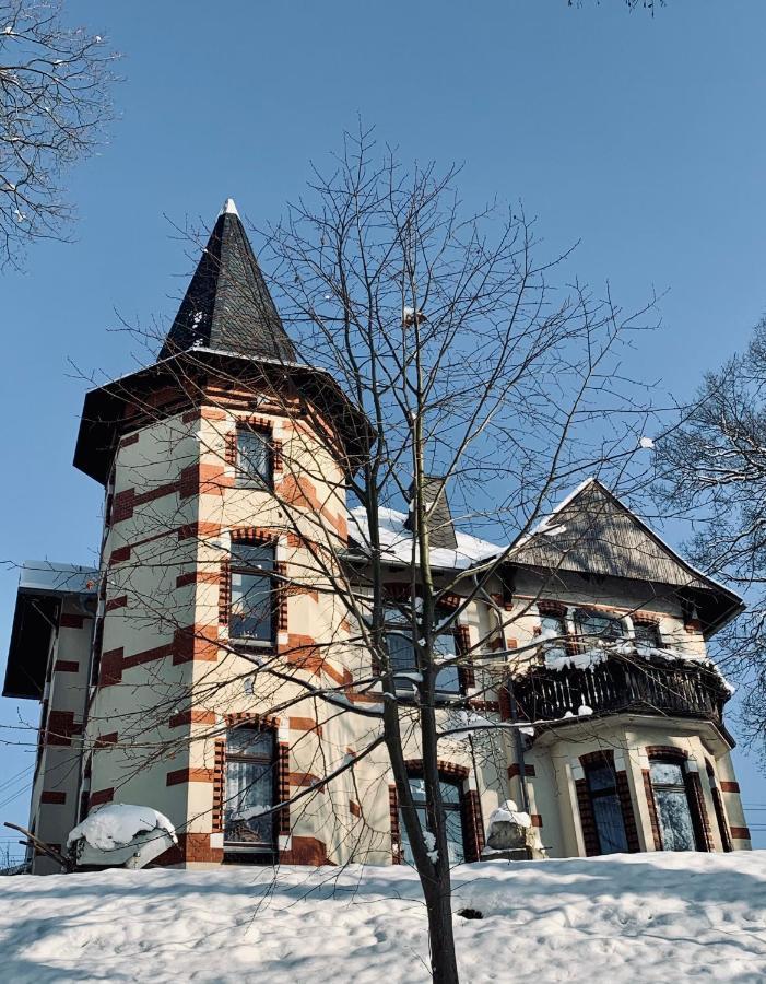 Turmvilla Vogtland Oelsnitz  외부 사진