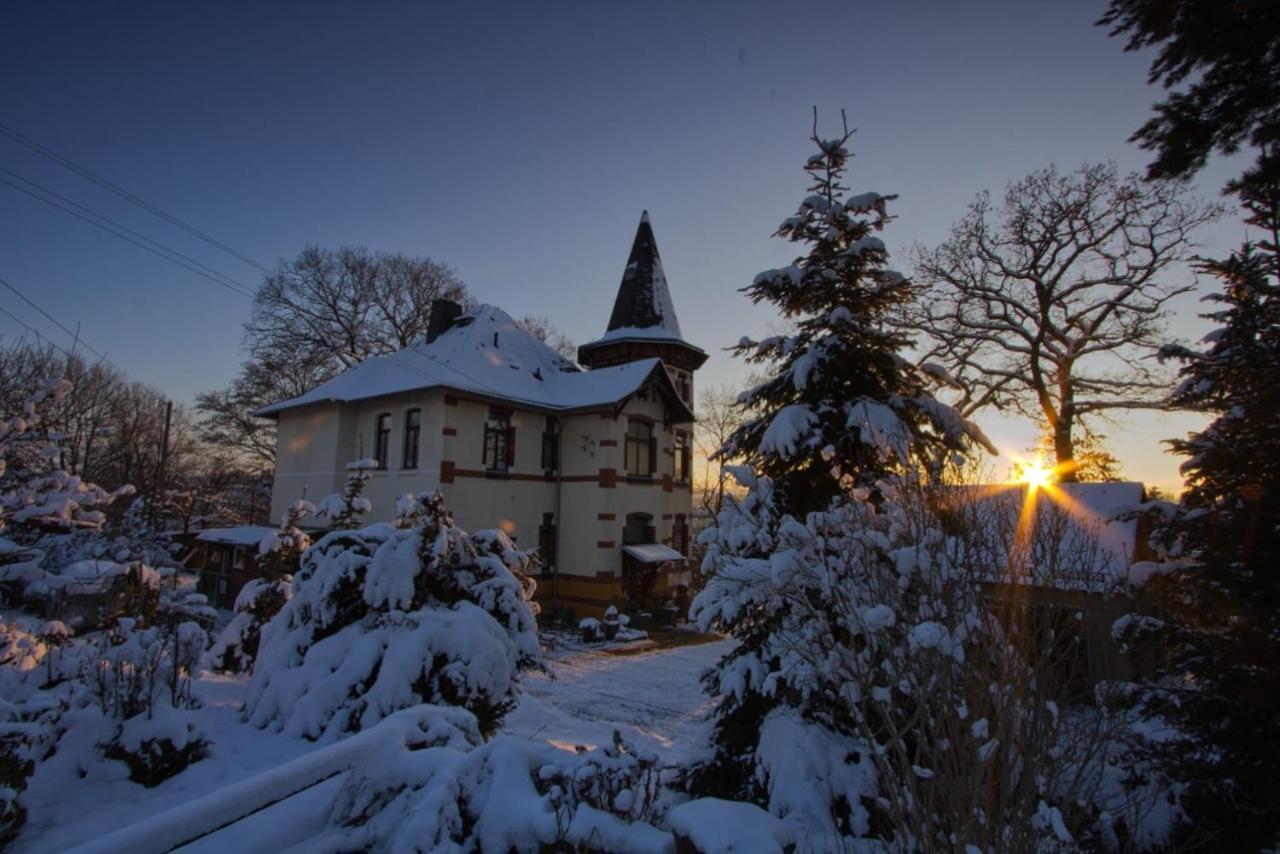Turmvilla Vogtland Oelsnitz  외부 사진
