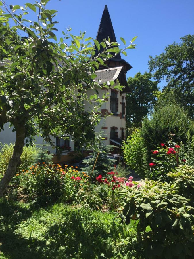 Turmvilla Vogtland Oelsnitz  외부 사진